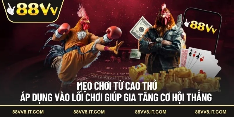 Mẹo chơi từ cao thủ áp dụng vào lối chơi giúp gia tăng cơ hội thắng